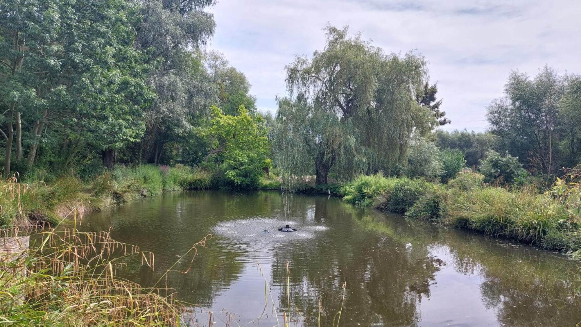 Vakantiewoning Den Appel Dendermonde Buitenkant foto